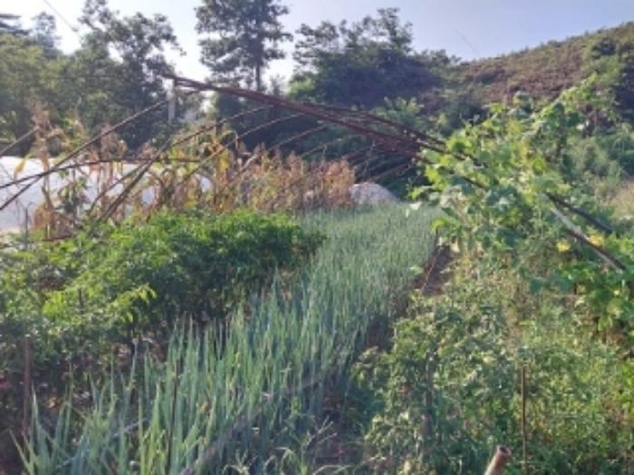 충청남도 공주시 유구읍 유구리 64 전 경매 사진 20