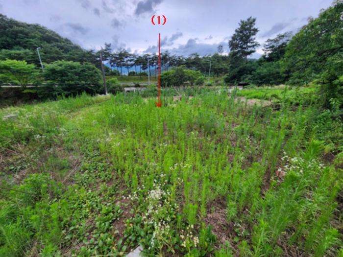 충남 공주시 유구읍 유구리 64 전 사진 3