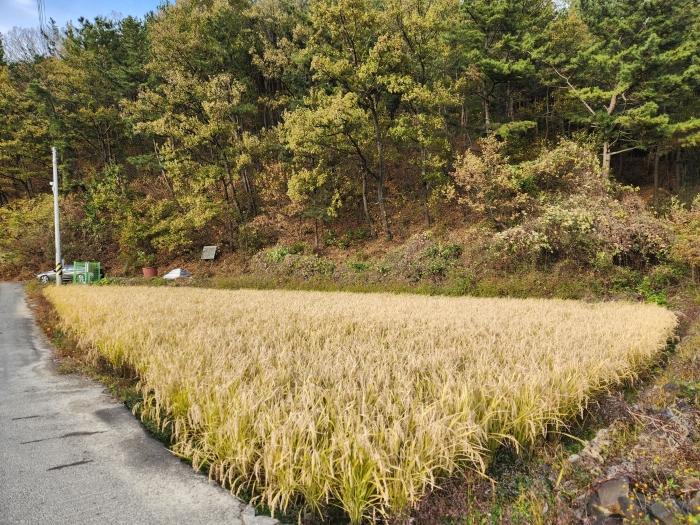 경남 함안군 칠원읍 무기리 774 전 사진 2