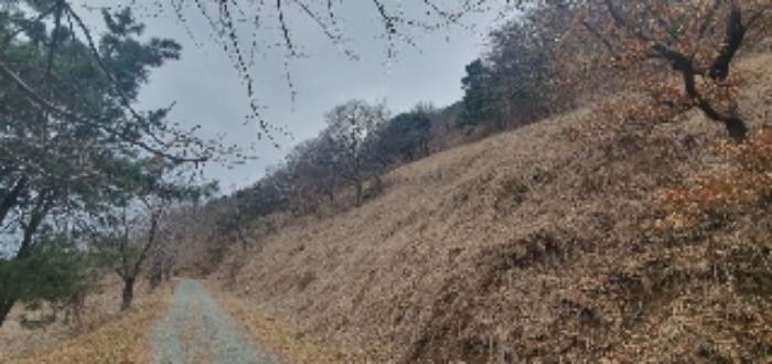 경상남도 함안군 칠원읍 무기리 774 전 경매 사진 41