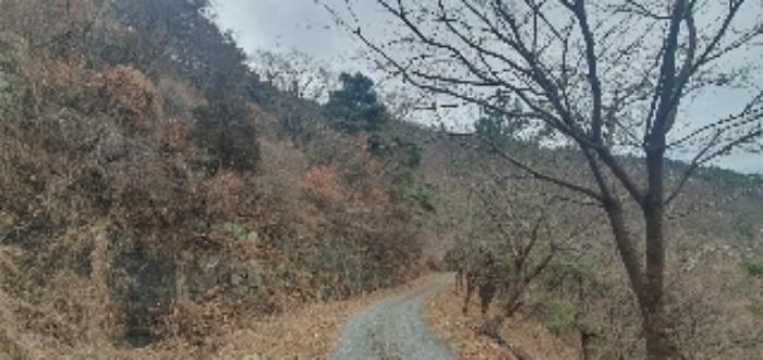 경상남도 함안군 칠원읍 무기리 774 전 경매 사진 42