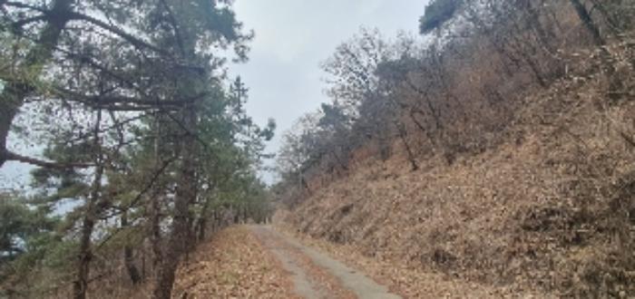 경상남도 함안군 칠원읍 무기리 774 전 경매 사진 43