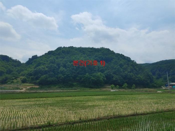 경상남도 합천군 삼가면 양전리 산38 임야 경매 사진 1
