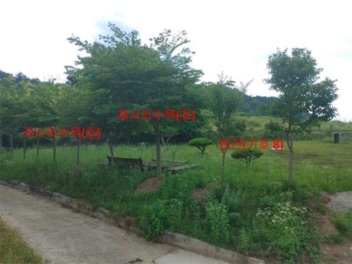 경상남도 합천군 삼가면 양전리 산38 임야 경매 사진 12