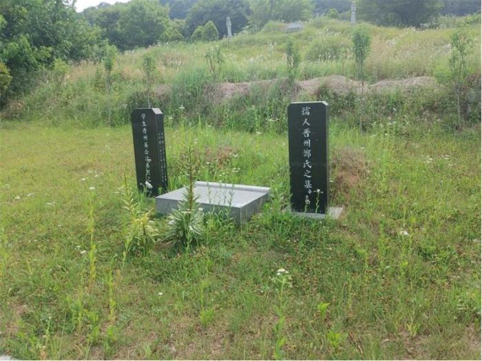 경상남도 합천군 삼가면 양전리 산38 임야 경매 사진 13