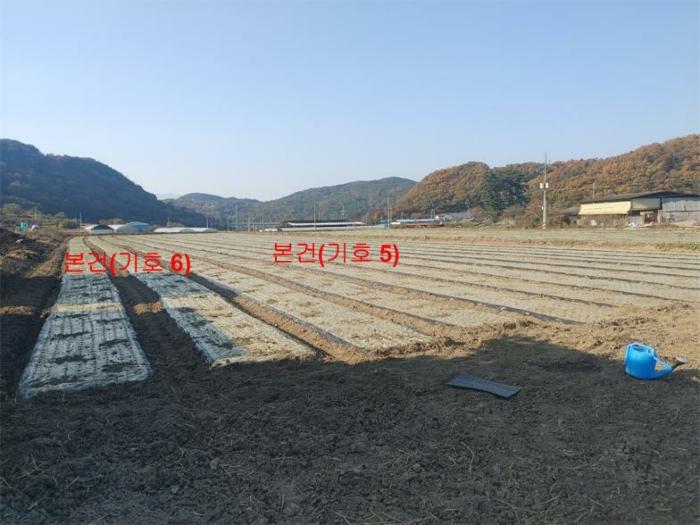 경상남도 합천군 삼가면 양전리 산38 임야 경매 사진 18