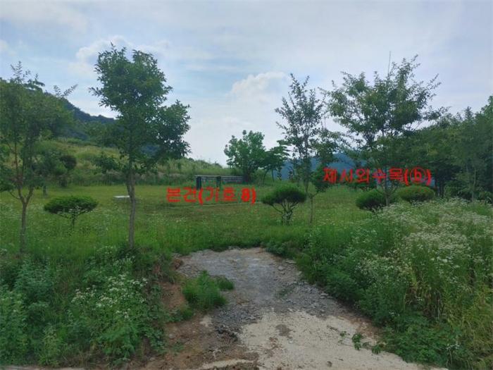 경상남도 합천군 삼가면 양전리 산38 임야 경매 사진 19