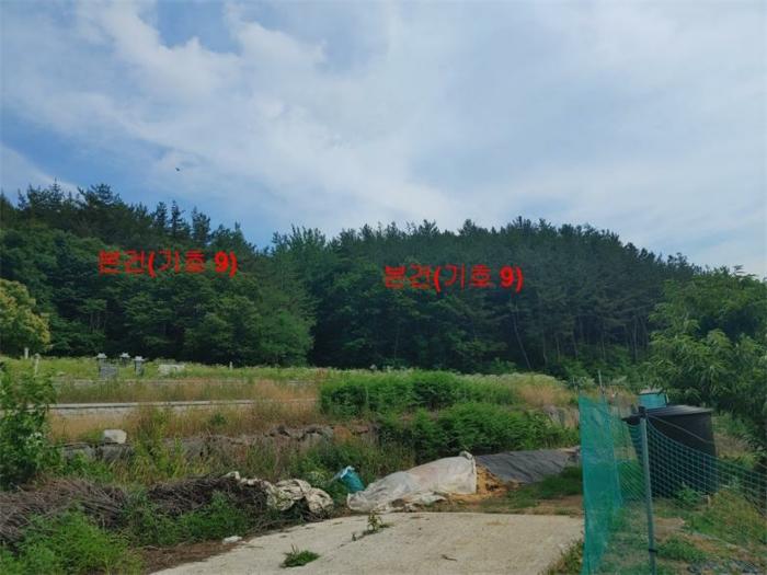 경상남도 합천군 삼가면 양전리 산38 임야 경매 사진 21