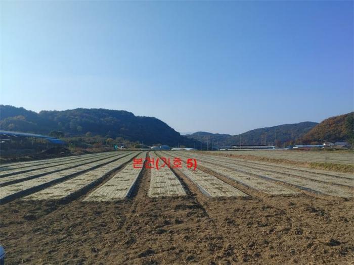 경상남도 합천군 삼가면 양전리 산38 임야 경매 사진 25