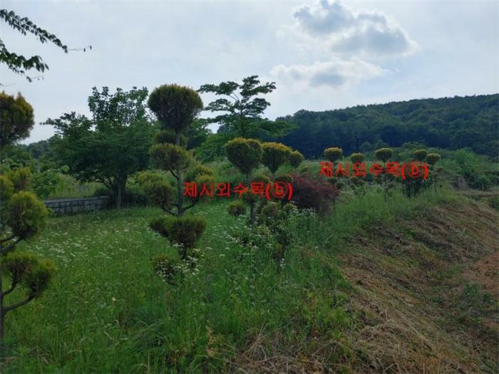 경상남도 합천군 삼가면 양전리 산38 임야 경매 사진 27