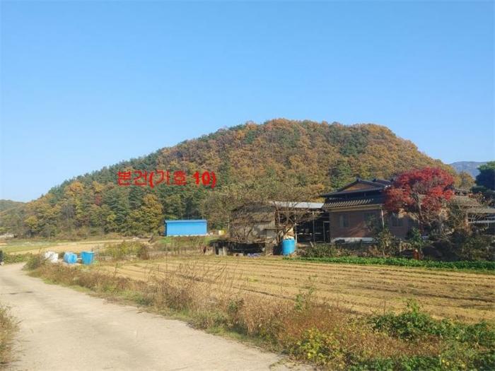경상남도 합천군 삼가면 양전리 산38 임야 경매 사진 28