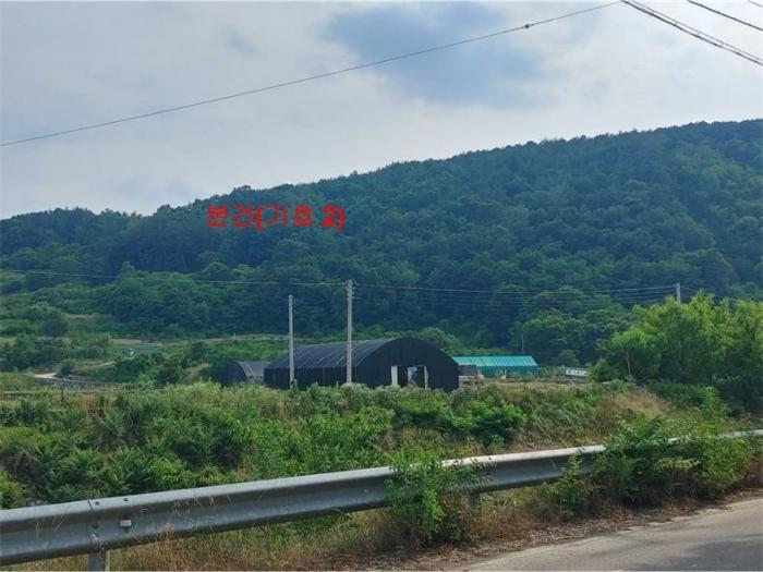 경상남도 합천군 삼가면 양전리 산38 임야 경매 사진 3