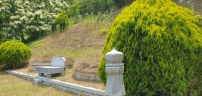 경상남도 합천군 삼가면 양전리 산38 임야 경매 사진 32