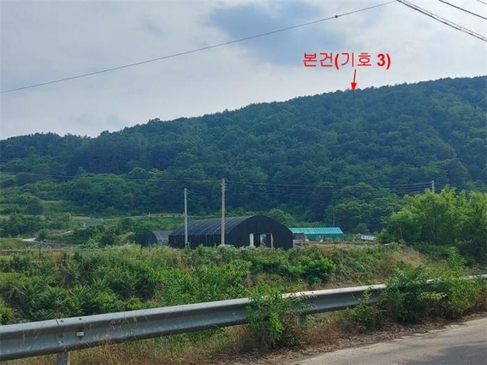 경상남도 합천군 삼가면 양전리 산38 임야 경매 사진 4