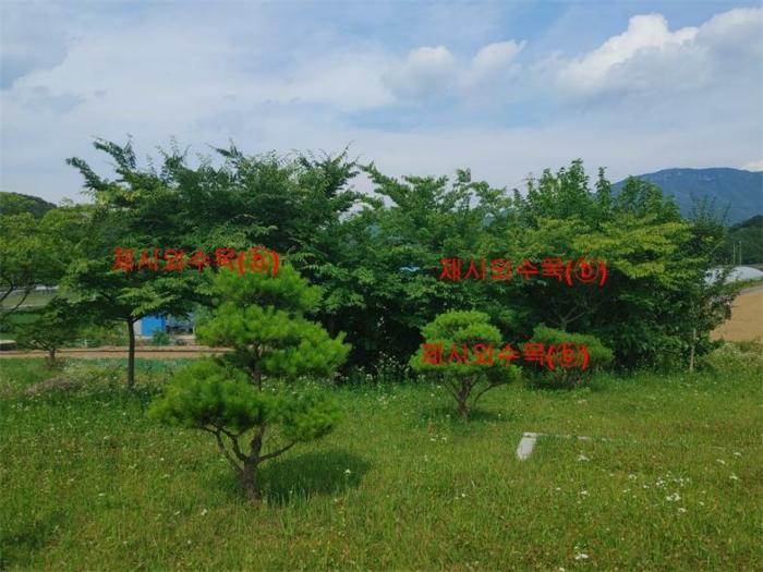 경상남도 합천군 삼가면 양전리 산38 임야 경매 사진 7