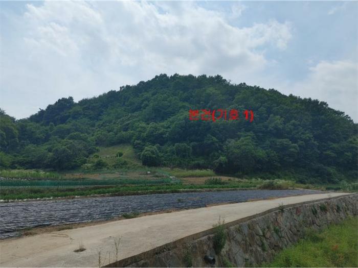 경상남도 합천군 삼가면 양전리 산38 임야 경매 사진 8