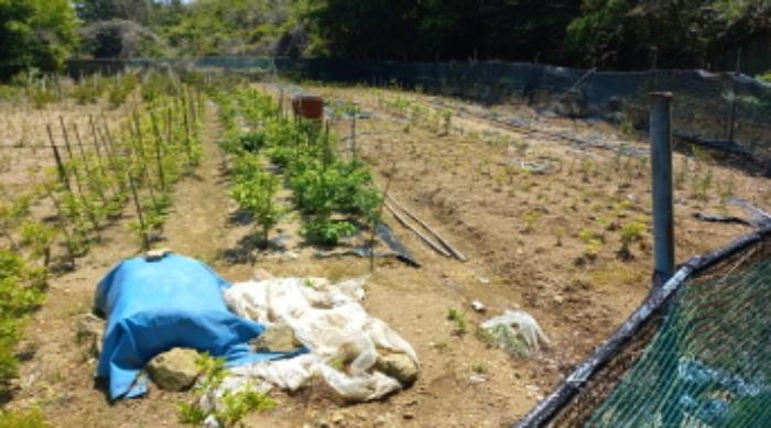 경상남도 거제시 남부면 다포리 126-1 대지 경매 사진 20
