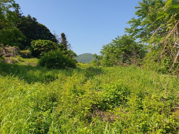 경상남도 거제시 남부면 다포리 126-1 대지 경매 사진 3