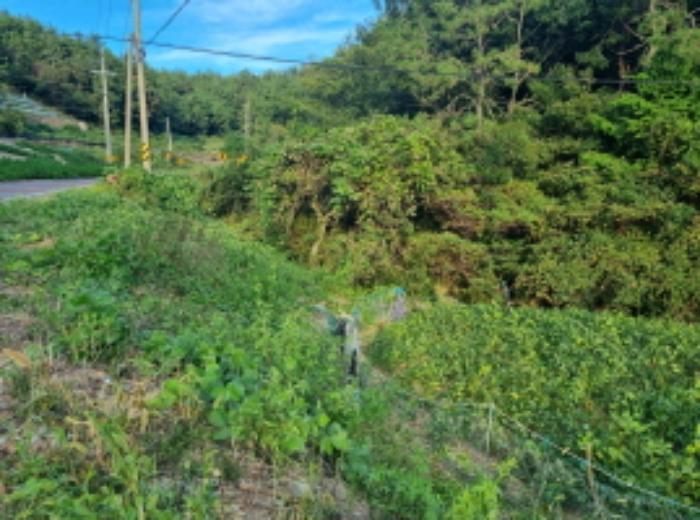 전라남도 여수시 화양면 이목리 1533 답 경매 사진 25