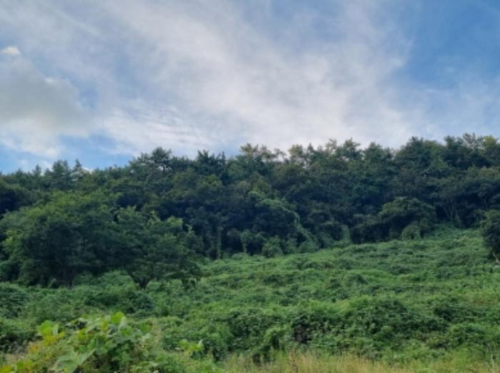 전라남도 여수시 화양면 이목리 1533 답 경매 사진 44