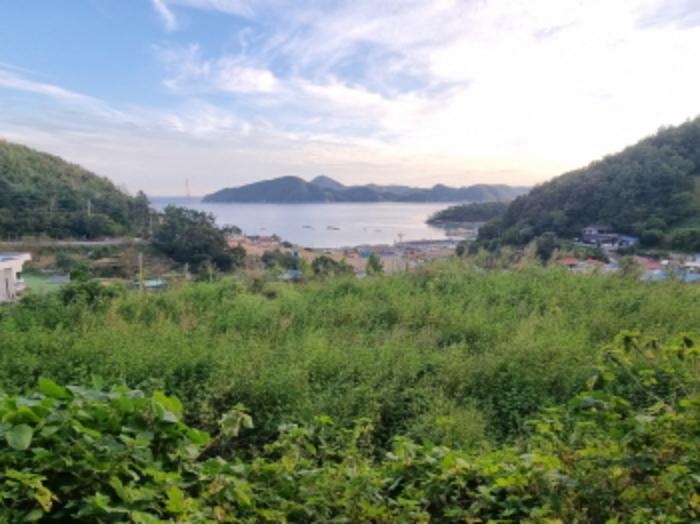 전라남도 여수시 화양면 이목리 1536 대지 경매 사진 35