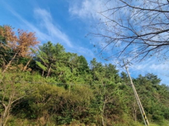전라남도 여수시 화양면 이목리 1536 대지 경매 사진 54