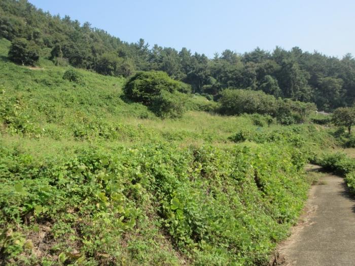 전라남도 여수시 화양면 이목리 1536 대지 경매 사진 9