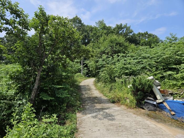 충청북도 충주시 중앙탑면 용전리 453 전 경매 사진 2