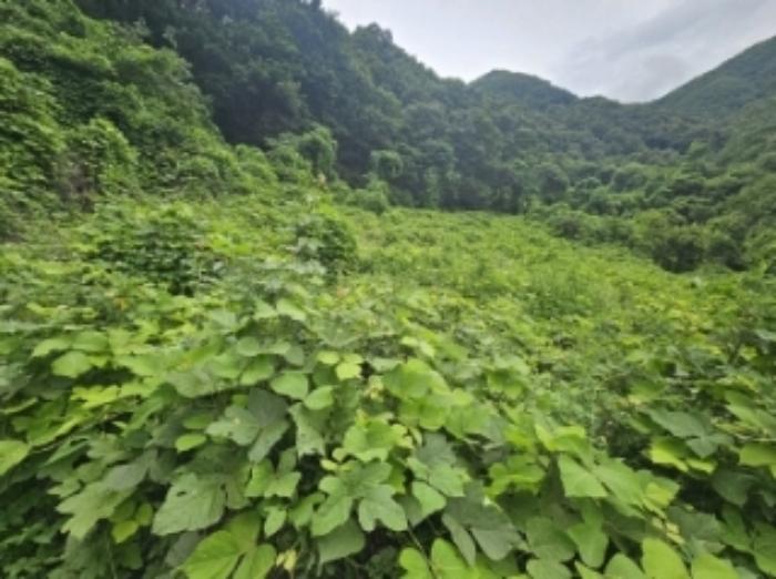 충청북도 단양군 어상천면 율곡리 107 전 경매 사진 8