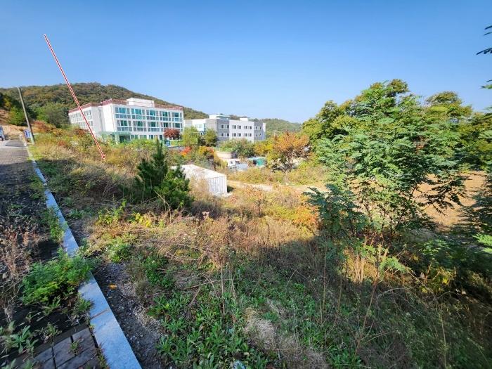 경기 양주시 임야