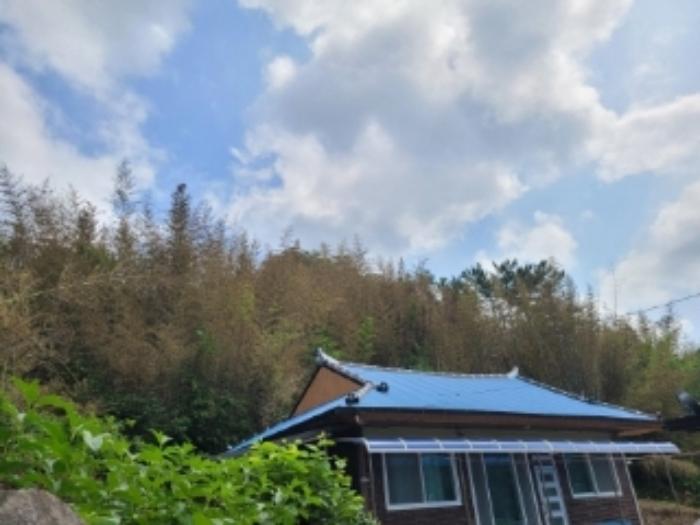 경상남도 진주시 집현면 대암리 484-2 대지 경매 사진 6