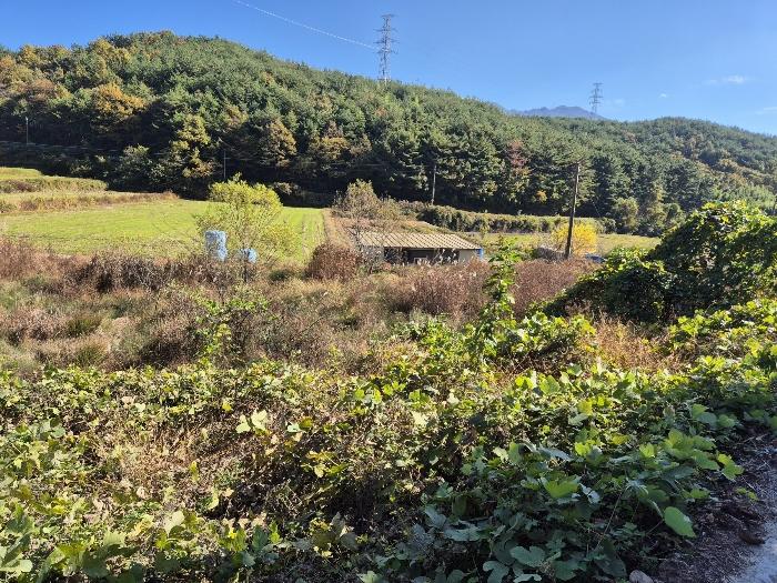 경상남도 하동군 금남면 계천리 326 전 경매 사진 25