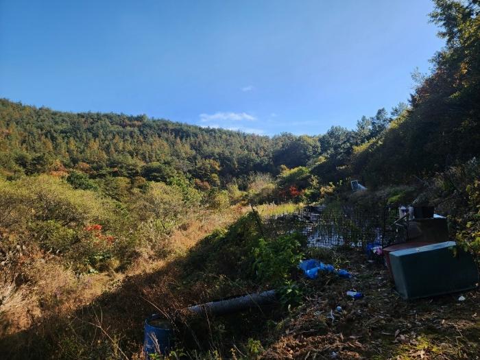 경상남도 하동군 금남면 계천리 326 전 경매 사진 30