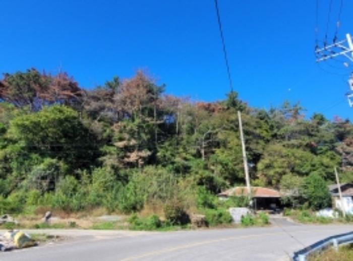경상남도 하동군 금남면 계천리 326 전 경매 사진 58