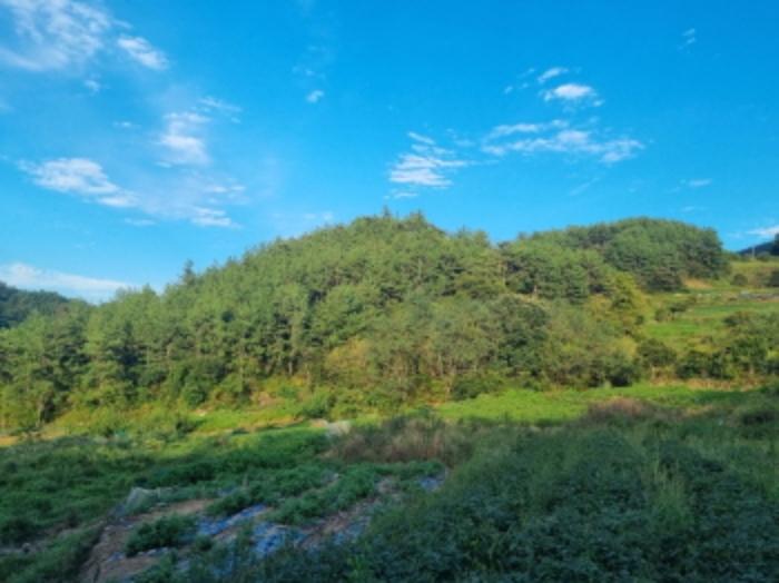 전라남도 여수시 화양면 이목리 1077 답 경매 사진 5