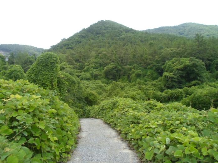 전남 해남군 임야