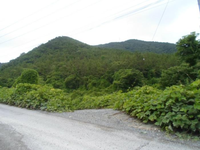 전라남도 해남군 화원면 영호리 산146-1 임야 경매 사진 2