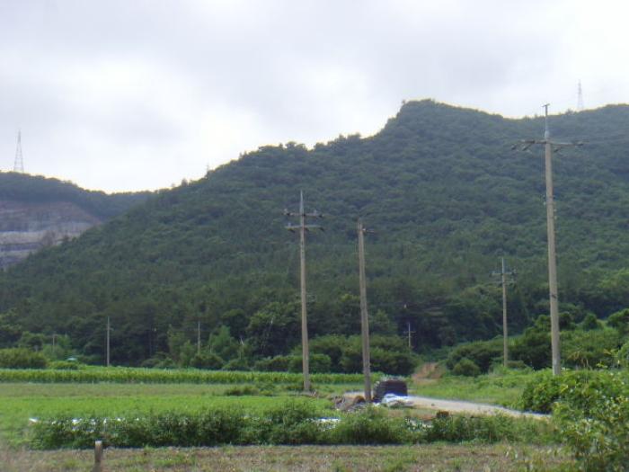 전라남도 해남군 화원면 영호리 산146-1 임야 경매 사진 4