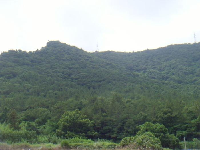 전라남도 해남군 화원면 영호리 산146-1 임야 경매 사진 5
