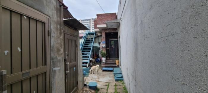 경기도 파주시 문산읍 문산리 56-15 주택 경매 사진 12