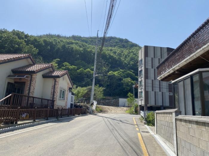 대구광역시 달성군 가창면 삼산리 901 전 경매 사진 3