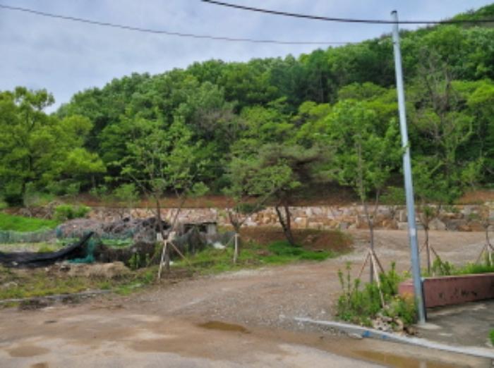 대구광역시 달성군 가창면 삼산리 901 전 경매 사진 7