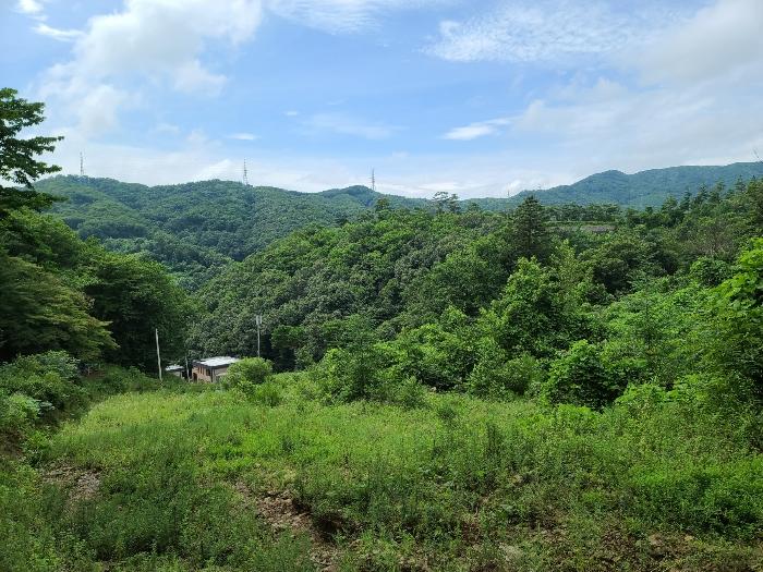 경기도 광주시 곤지암읍 열미리 74-5 임야 경매 사진 12