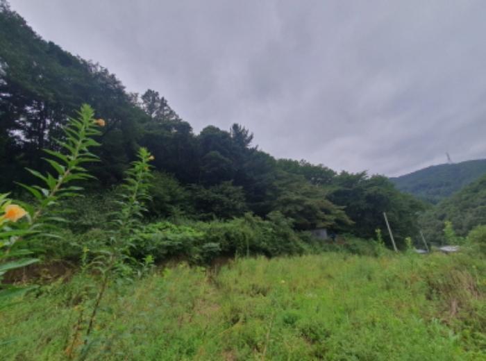 경기도 광주시 곤지암읍 열미리 74-5 임야 경매 사진 19