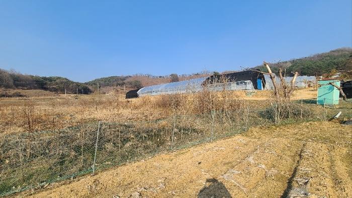 강원특별자치도 횡성군 횡성읍 갈풍리 167 전 경매 사진 1