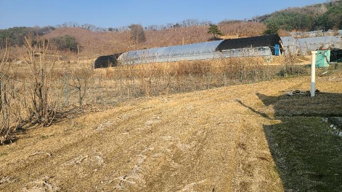 강원특별자치도 횡성군 횡성읍 갈풍리 199 전 경매 사진 2