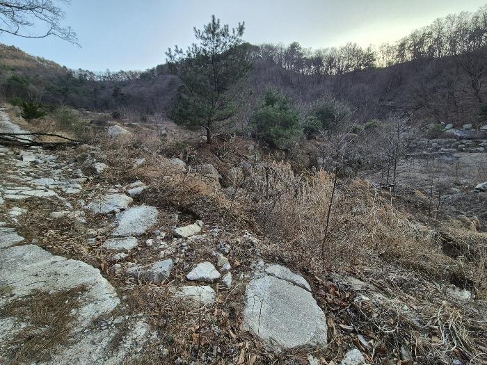 경상북도 영주시 봉현면 한천리 463-1 과수원 경매 사진 6