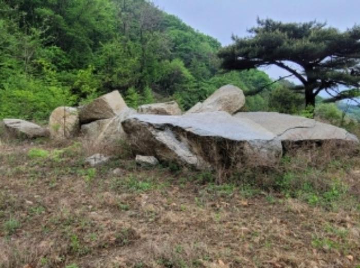 경상북도 영주시 봉현면 한천리 463-2 과수원 경매 사진 40