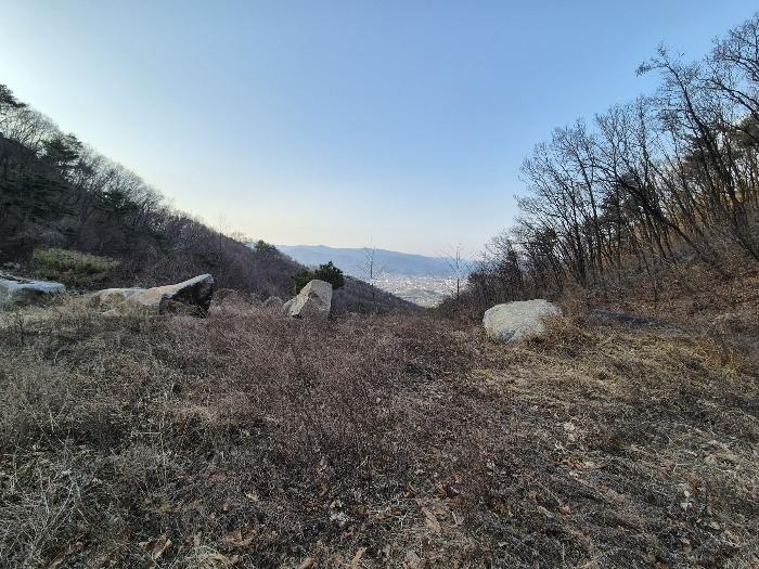 경상북도 영주시 봉현면 한천리 463-8 임야 경매 사진 12