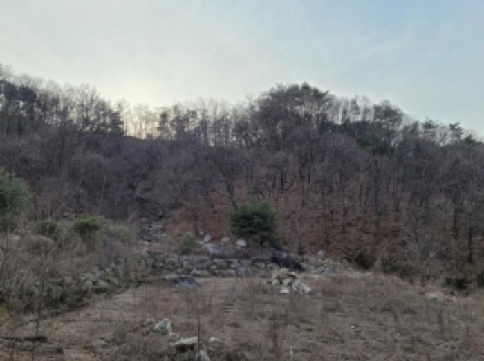 경상북도 영주시 봉현면 한천리 463-8 임야 경매 사진 33